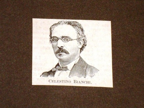 Onorevole celestino bianchi - onorevole,