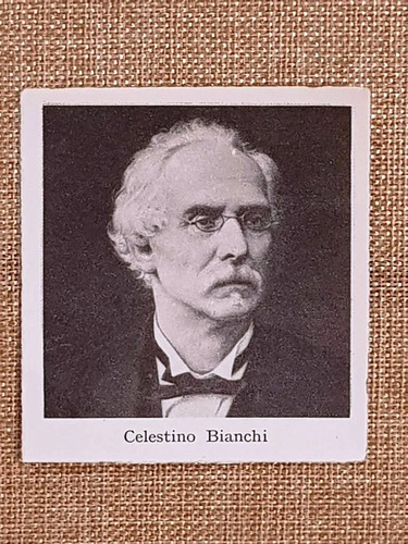 Celestino bianchi marradi 10 - celestino,