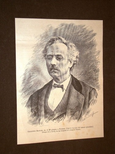 Giornalista celestino bianchi - giornalista,